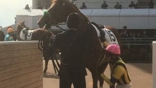 日曜中山４Ｒ新馬は伏兵ヘッドオブステートが７馬身差の圧勝