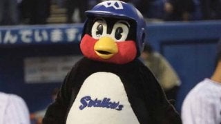 つば九郎、活動必需品の契約延長を報告　「あっさりとこうしょうせいりつ～」