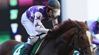 サンライズノヴァとユラノト。根岸Ｓは５歳馬２頭でいけいけゴーゴーだ