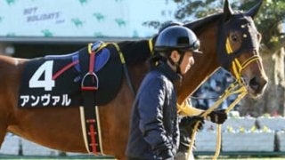 荒れるシルクロードＳ。今の荒れた京都に合う「荒ぶる３頭」がいた