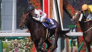 ミッキーロケット号が競走馬登録抹消