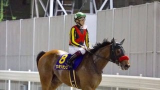 ワンミリオンス号が競走馬登録抹消