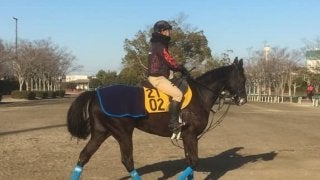 【愛知杯】レッドジェノヴァ  Mデムーロで重賞制覇を狙う