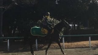 【愛知杯】ウラヌスチャーム  連勝で本格化ムード