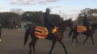 【愛知杯】コルコバード  脚力は牡馬顔負け