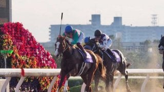 【川崎記念】JRA出走予定馬