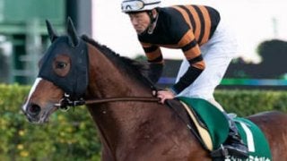 ２強に注目集まる根岸Ｓだが、異色の存在２頭が波乱を起こすかも…