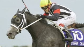 偉大すぎるスプリント王と女王の子。カレンモエの潜在能力に期待大だ