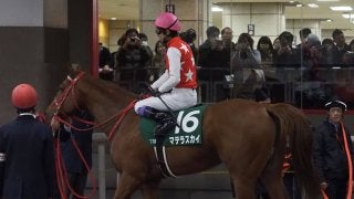 【根岸S】武豊「乾いたダートは合わないね」マテラスカイ失速