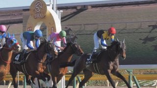【セントポーリア賞】良血馬カントルが2勝目！兄にワグネリアン