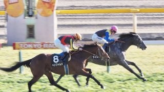 【早春S】アイスバブルが連勝でオープン入り！