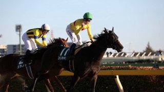 【根岸S】ルメール「勝った馬が強い」レース後 ジョッキーコメント