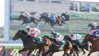 【シルクロードS】北村友「外に切り替えないと…」ダノンスマッシュが快勝！