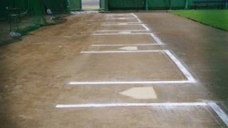 阪神・メッセ 「日本人」1年目　次に日本人登録になる選手は？過去になった選手は？