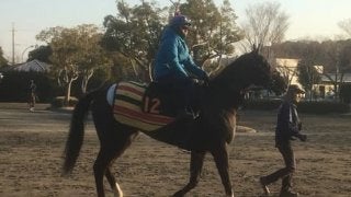 【きさらぎ賞】アガラス 自在性高く能力上位