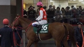 2019ドバイワールドカップデー 日本馬の招待受諾