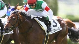 少頭数のきさらぎ賞は中穴狙い。人気の盲点となる２頭にウマ味あり