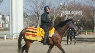 【東京新聞杯】テトラドラクマ 古馬の牡馬相手がカギ