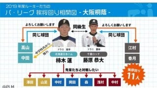 プロ入り前の高校、大学、社会人、ボーイズまで…パの先輩・後輩相関図