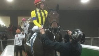 日曜東京４Ｒ新馬はルメール騎乗のフィードバックが制す