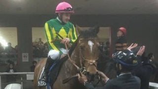 日曜東京９Ｒ・ゆりかもめ賞はサトノダイヤモンドの全弟・サトノジェネシスが３馬身差快勝