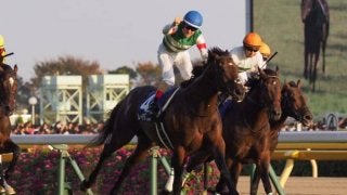 2019ドバイワールドカップデー 日本馬の招待受諾