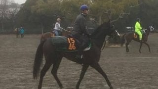 【共同通信杯】フォッサマグナ デビュー戦完勝で魅力十分