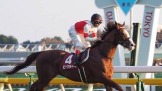2019ドバイワールドカップデー 日本馬の招待受諾