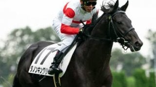 共同通信杯、人気の実績馬２頭を負かすのは東京コースが合うあの馬だ