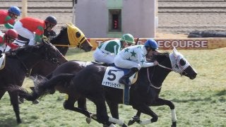 【東京6R】トオヤリトセイトが直線一気の差し切り！