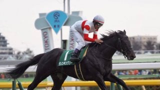 【共同通信杯】ダノンキングリーが無傷の三連勝！