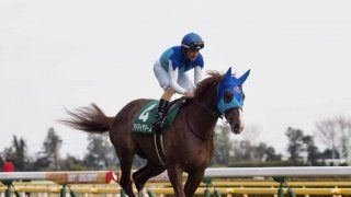 【共同通信杯】デムーロ「しょうがないです…」アドマイヤマーズ初黒星