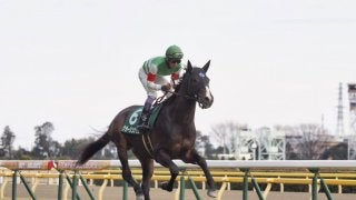 【共同通信杯】武豊「キレ負けした感じ」クラージュゲリエは3着