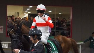 【共同通信杯】戸崎「良い形で行けた」ダノンキングリー無傷の三連勝！