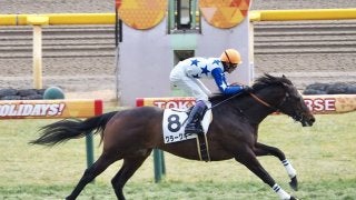 【東京12R】武豊クラークキーが逃げ切り！