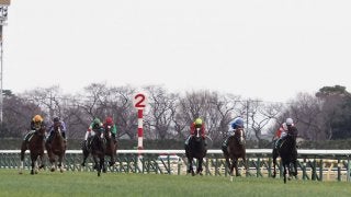 【共同通信杯】武豊「現時点での差かな」レース後 ジョッキーコメント