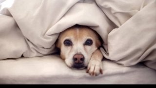 足の冷え解消にオススメのアイテム