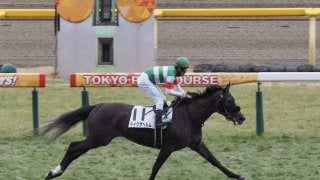 【東京6R/新馬戦】テイクザヘルムがデビューV！