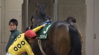 【クイーンC】ミリオンドリームズ8着！ルメール 「柔らかい馬場の方が…」