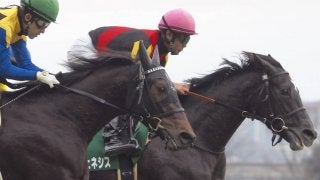 【クイーンC】クロノジェネシス完勝！北村友「前哨戦としてはいい内容」