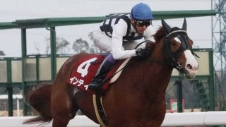 【フェブラリーS】登録馬と見どころ 武豊インティ 藤田菜七子初G1騎乗など