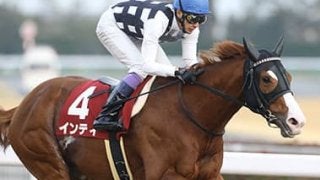 フェブラリーＳは６連勝中のインティ中心。初の距離も血統的に好材料