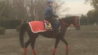 【フェブラリーS】ノンコノユメ 関東馬唯一の出走