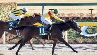 【フェブラリーS】武豊インティ4枠6番 菜七子コパノキッキング7枠11番