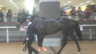 土曜東京９Ｒ・フリージア賞は７番人気の伏兵アトミックフォースがＶ