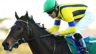 名手ルメールが「相当な馬」と絶賛。大一番へ夢膨らむラストドラフト