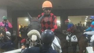 土曜東京４Ｒ新馬は柴田政人厩舎の最低人気チバタリアンが制す