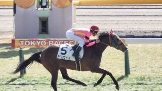 【東京5R/新馬戦】アイリスフィールが余力十分のデビュー勝ち