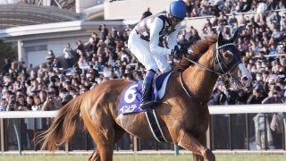 【フェブラリーS】武豊「ニュースター誕生だと思います」インティが破竹の7連勝G1制覇