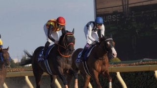 【フェブラリーS】インティが逃げ切りで7連勝！武豊1年2ヶ月振りG1制覇